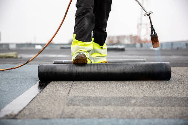 Best Steel Roofing  in Aquia Harbour, VA