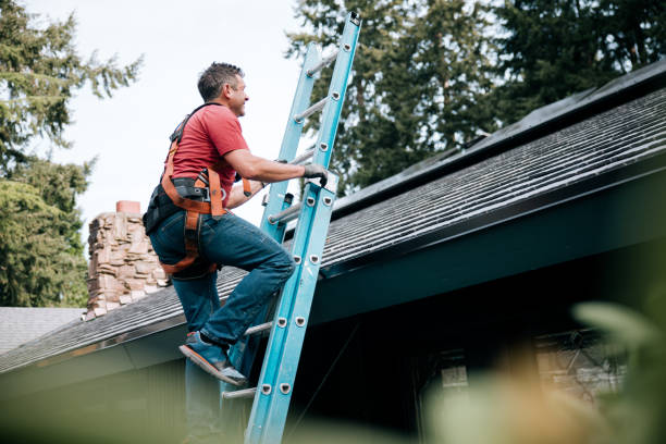Best Chimney Flashing Repair  in Aquia Harbour, VA