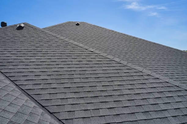 Best Solar Panel Roofing Installation  in Aquia Harbour, VA